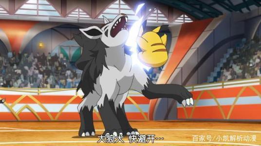 《精灵宝可梦》颜值与实力并存五只犬类宝可梦，都有共同特征。