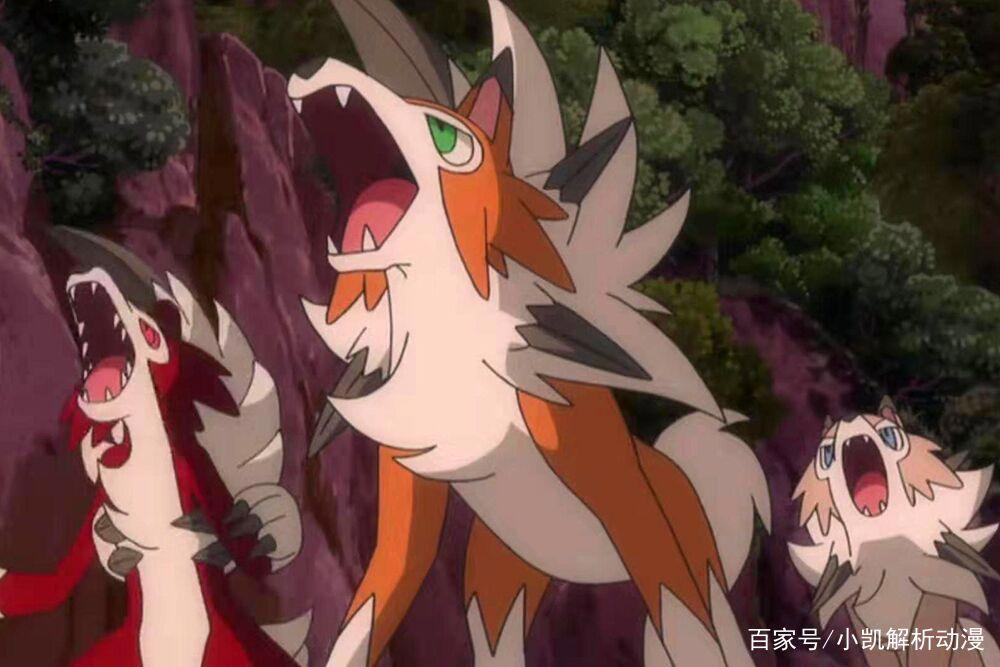 《精灵宝可梦》颜值与实力并存五只犬类宝可梦，都有共同特征。