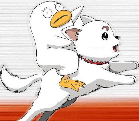 狗年将至，盘点二次元里那些萌犬，哪个你更喜欢？