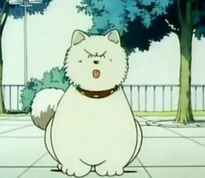 狗年将至，盘点二次元里那些萌犬，哪个你更喜欢？