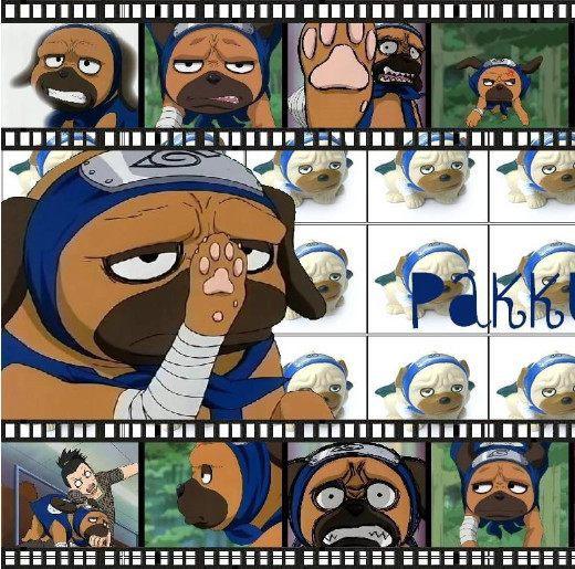 狗年将至，盘点二次元里那些萌犬，哪个你更喜欢？