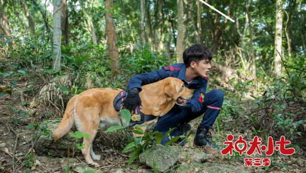 剧漫联动打造神犬IP《神犬小七》剧漫版6月27日同期上线