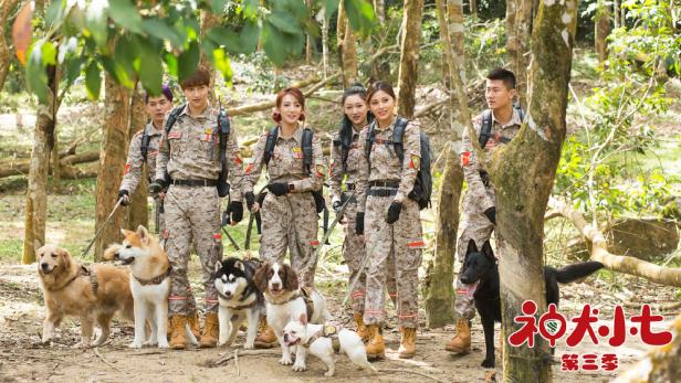 剧漫联动打造神犬IP《神犬小七》剧漫版6月27日同期上线