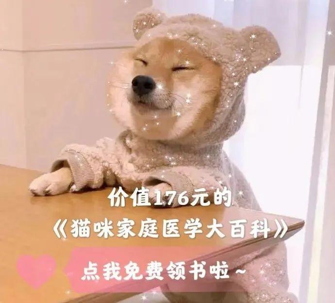 儿时动漫中狗狗的原型