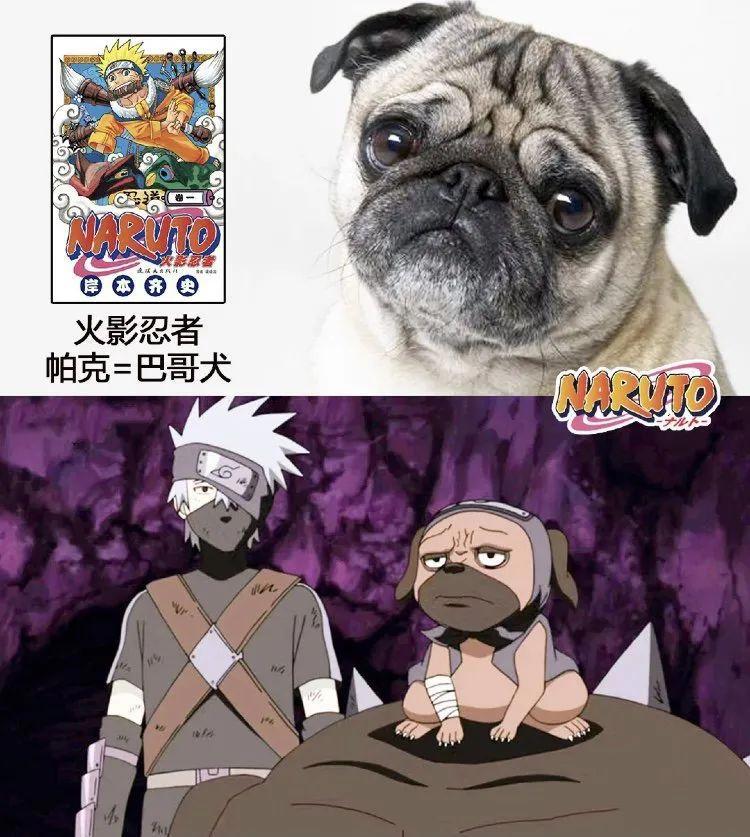 儿时动漫中狗狗的原型