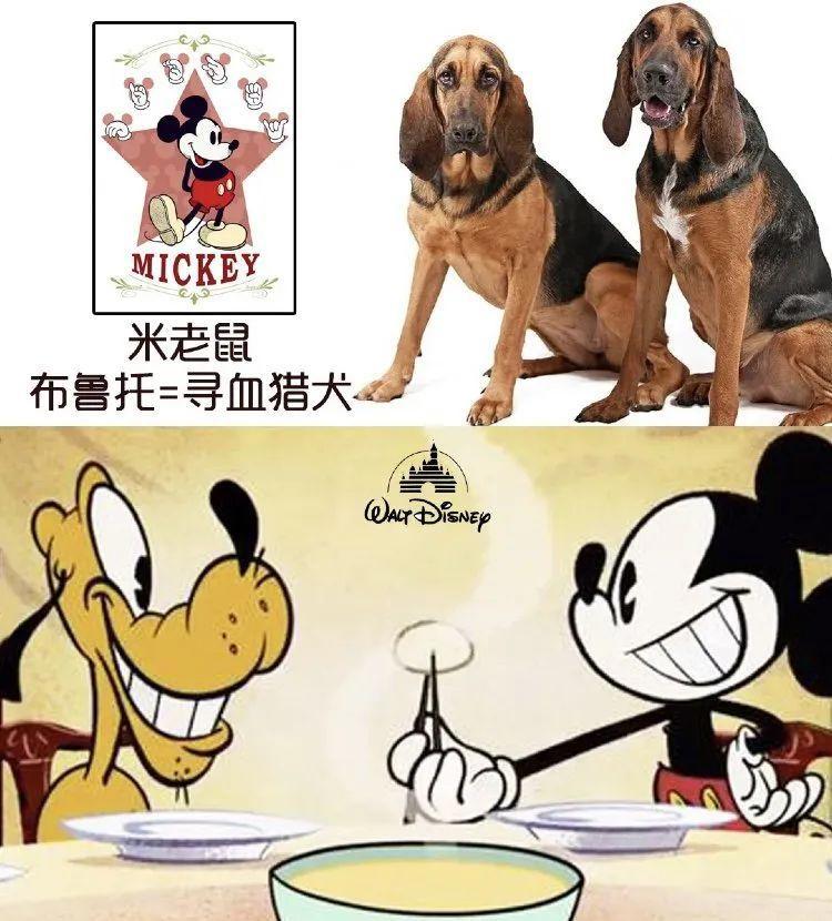 儿时动漫中狗狗的原型