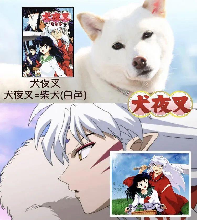 儿时动漫中狗狗的原型