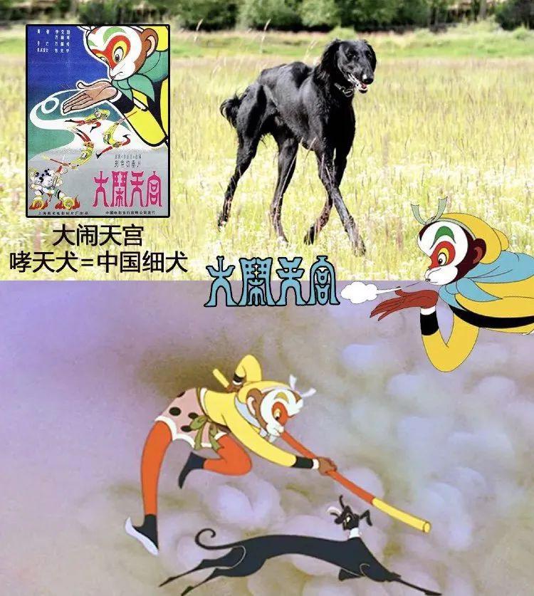 儿时动漫中狗狗的原型