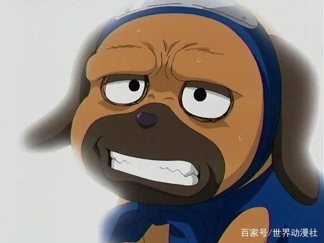 肉球必杀！盘点动漫中那些最萌的萌犬！