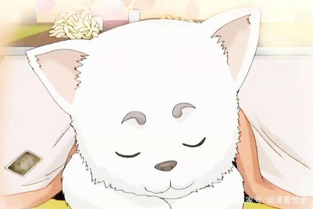 盘点动漫里的萌犬，谁说漫画作者都是猫奴？