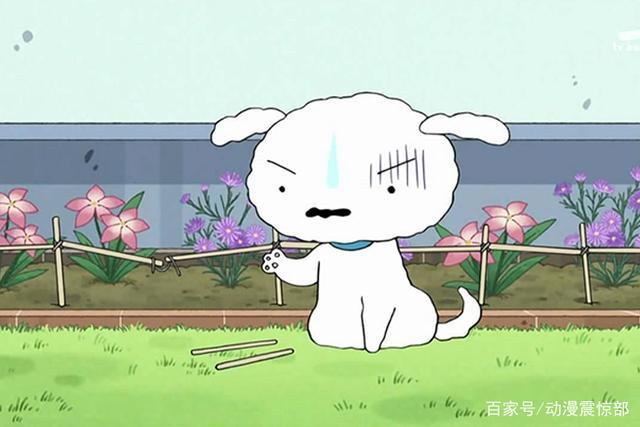 盘点动漫里的萌犬，谁说漫画作者都是猫奴？
