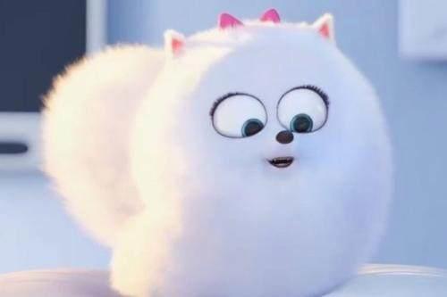 盘点动漫里的12只萌犬，祝大家狗年大吉！