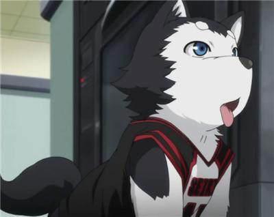 盘点动漫里的12只萌犬，祝大家狗年大吉！