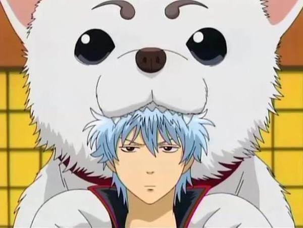 盘点动漫里的12只萌犬，祝大家狗年大吉！