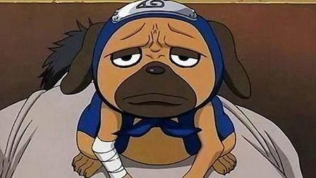 盘点动漫里的12只萌犬，祝大家狗年大吉！