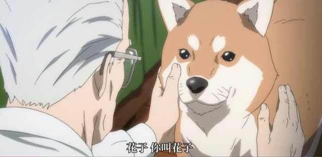 盘点动漫里的12只萌犬，祝大家狗年大吉！