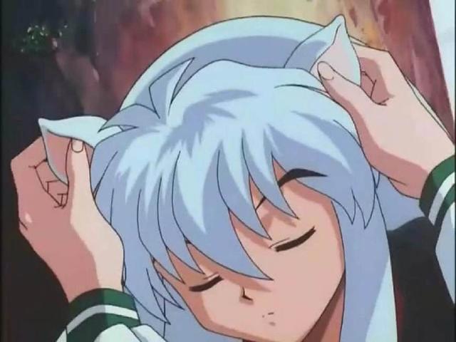 盘点动漫里的12只萌犬，祝大家狗年大吉！