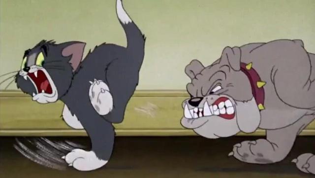 那些动漫界有名的狗，一只狗代表一个经典动漫