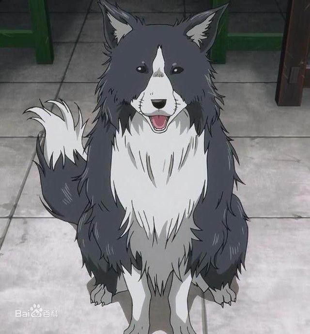 动漫中的那些狗狗，杀殿最帅了