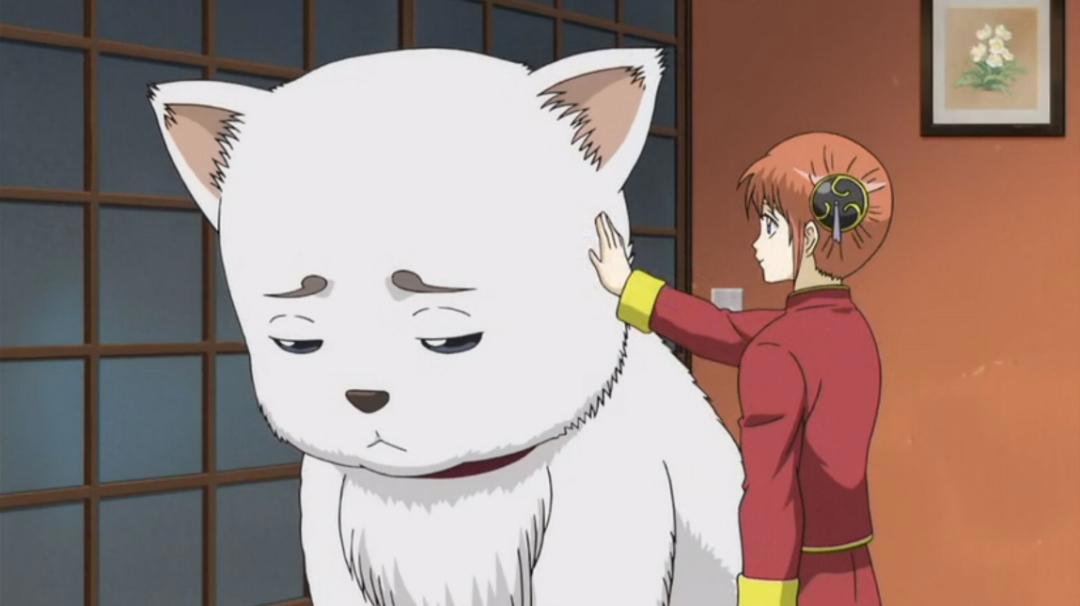 日漫中那些“狗”角色，犬夜叉都只排在第二位，狗节第一会是谁？