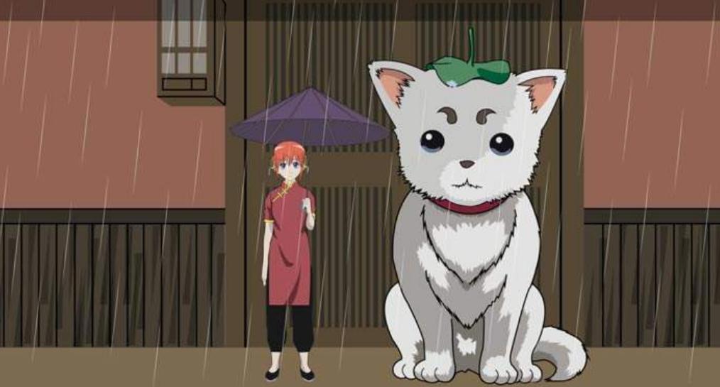 日漫中那些“狗”角色，犬夜叉都只排在第二位，狗节第一会是谁？