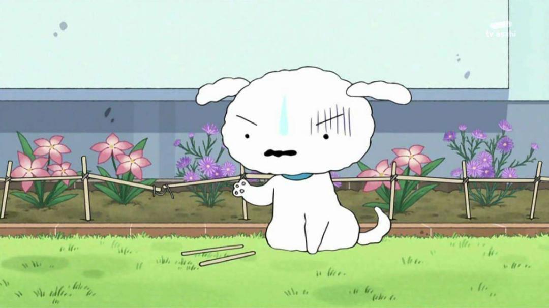 日漫中那些“狗”角色，犬夜叉都只排在第二位，狗节第一会是谁？