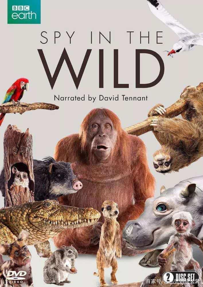 居家不知干什么？精选10部儿童必看的高质量动画片，值得收藏！