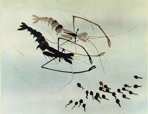 国产动画60年，历经巅峰到低谷，如今终于再度崛起