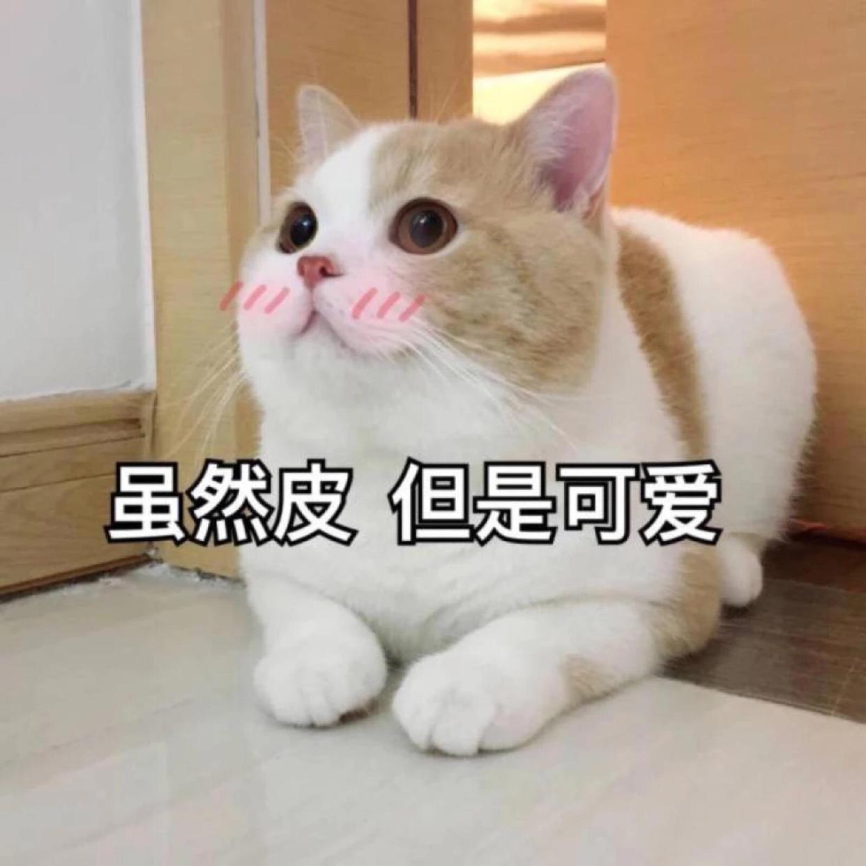 动漫中那些如同白马王子般的角色，前三名没一个熟悉的