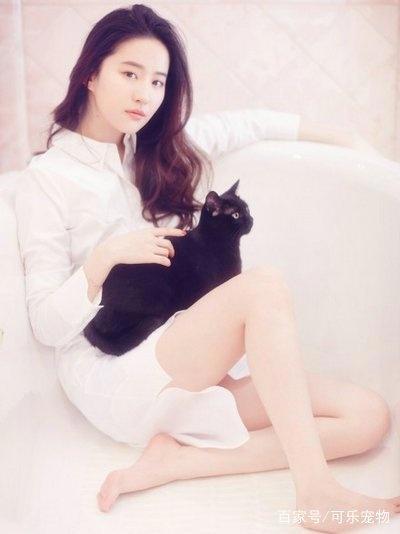 娱乐圈最知名的猫奴，刘亦菲收养了60多只流浪猫，无愧女神之名
