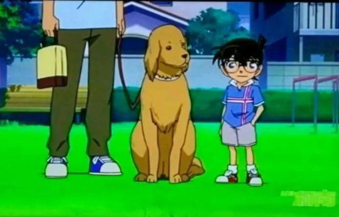 某站官方解答“柯南身高之谜”！困扰漫迷20多年的难题，解开了？