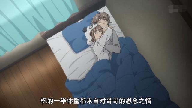 新番兔女郎存在感危机，男主决定拯救学姐！他能否抱得美人归？