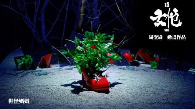 【个人意见】《女他》：若你喜欢怪鞋其实她很美