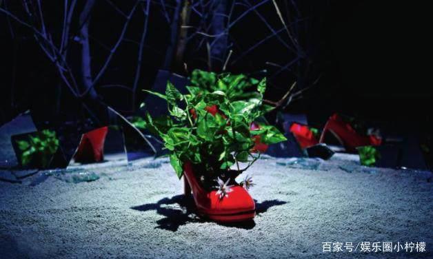 动画电影《女他》讲述了被压迫的女鞋展开复仇的故事