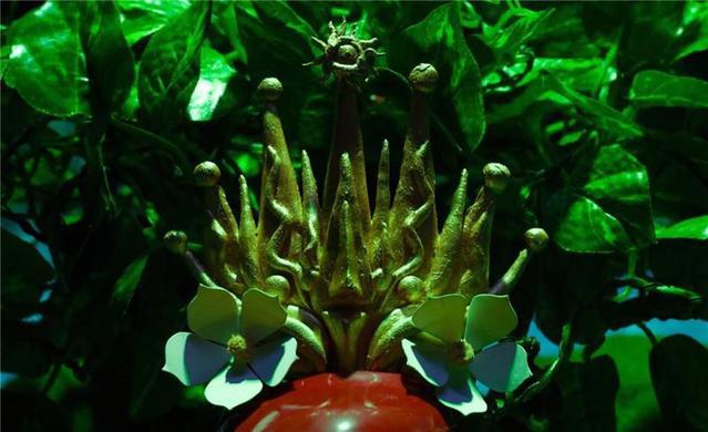 大家听我说，我们都是垃圾——定格动画《女他》