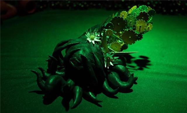 大家听我说，我们都是垃圾——定格动画《女他》