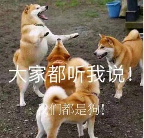 大家听我说，我们都是垃圾——定格动画《女他》