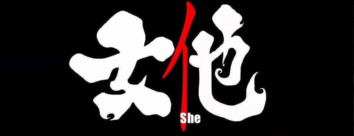 女他：导演用580000张实拍照片，耗时6年，只为给女性一个机会