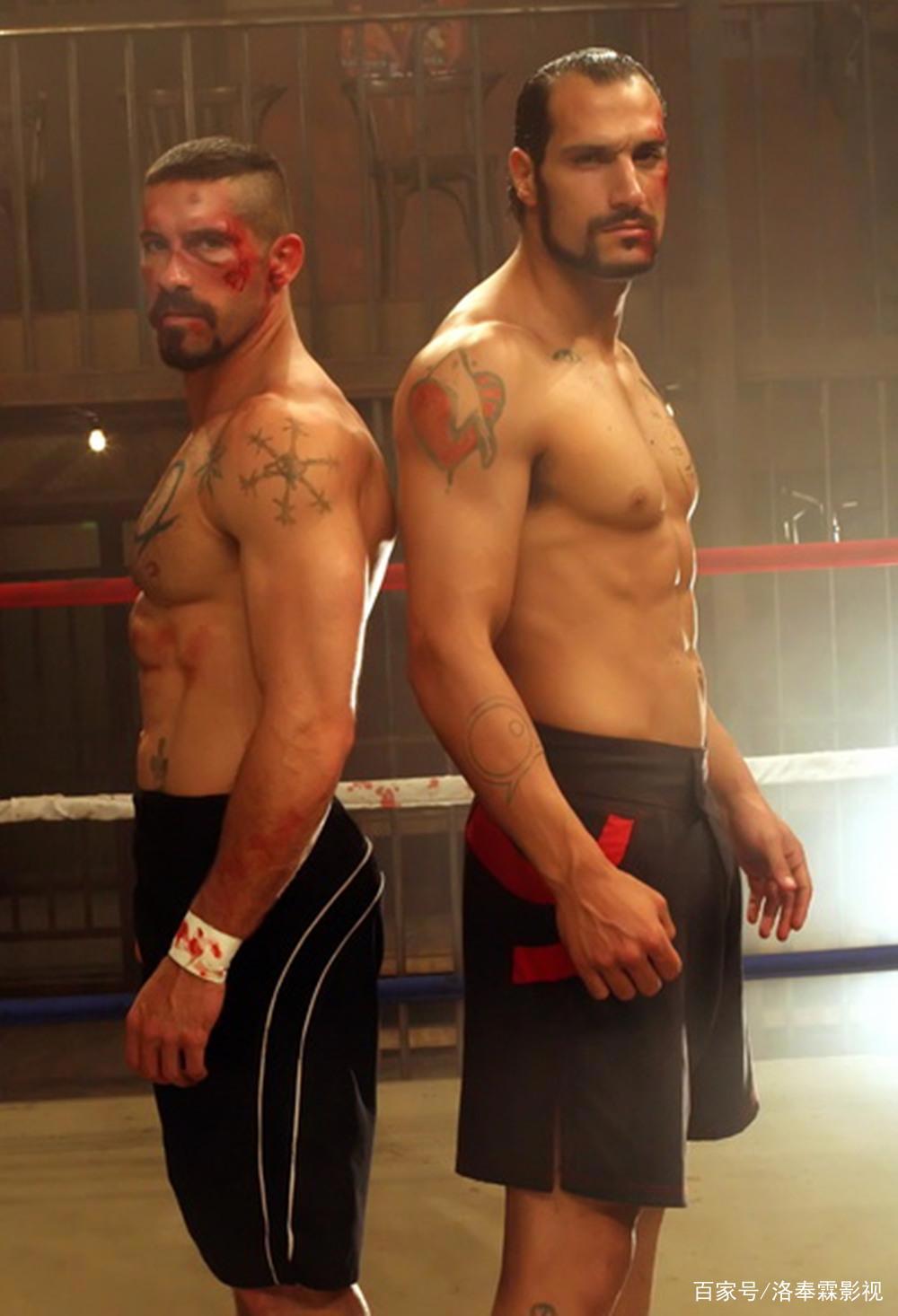 《疾速追杀4》杀神对“叶问”，《不死狂徒》真正拥有不死之身