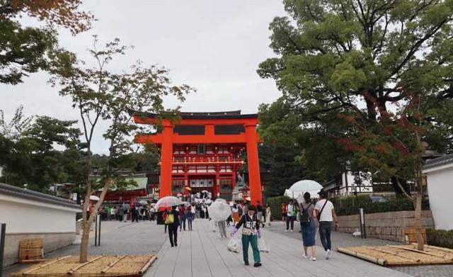 史上最全的日本自由行攻略分享，从东京-京都-大阪，10天9晚！
