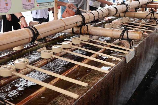 史上最全的日本自由行攻略分享，从东京-京都-大阪，10天9晚！