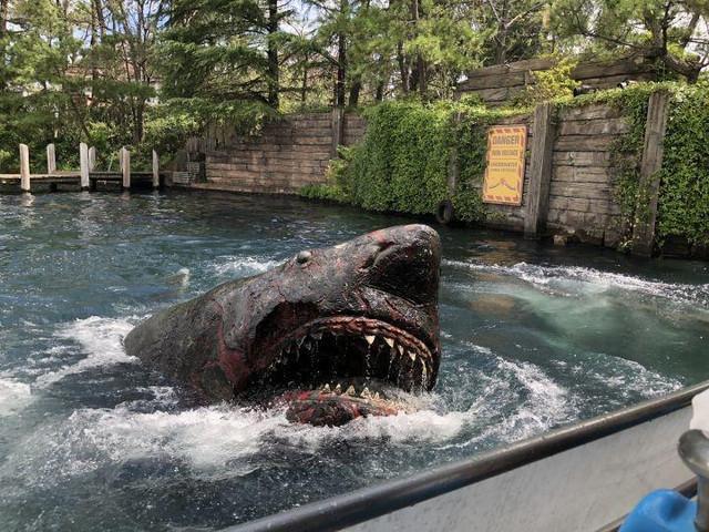 史上最全的日本自由行攻略分享，从东京-京都-大阪，10天9晚！