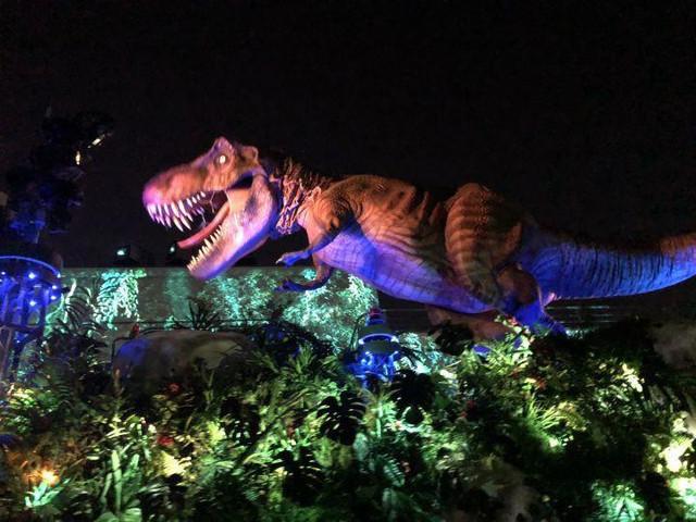 史上最全的日本自由行攻略分享，从东京-京都-大阪，10天9晚！