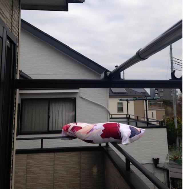 动漫美少女抱枕，究竟毁了多少宅男的人生？