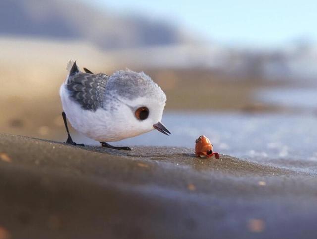 看图猜动画，皮克斯著名的动画片，你看过几部？