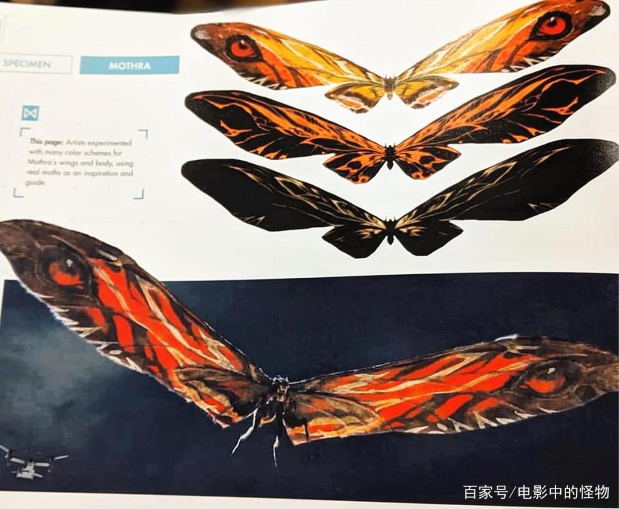 《哥斯拉大战金刚》曝泄露剧情，《哥斯拉2》曝红莲哥斯拉造型