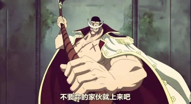 海贼王：这三个老头，哪个给人感觉强一些？