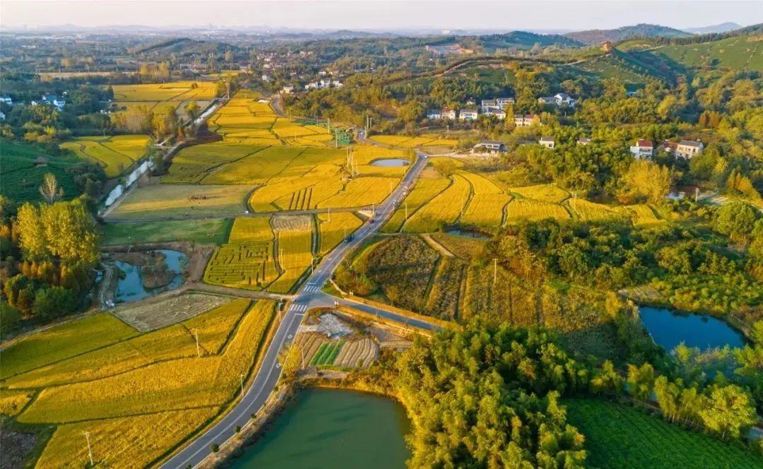 0519！常州之美！