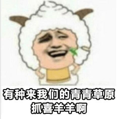 《喜羊羊与灰太狼》最搞笑的5张图，看完不笑的，你是魔鬼吗？