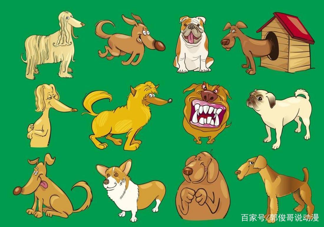 勇闯动漫任意门，奇异世界里新奇不已，狗狗也拥有超能力吗